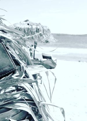 IMG_20190314_155327_824